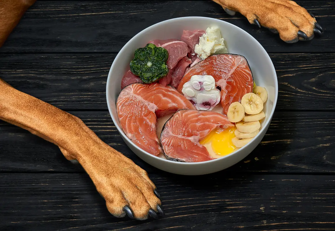 Eine Schale mit rohen Lachsscheiben, Eiern, Bananenscheiben, Fleisch, püriertem Gemüse und einem weißen Topping steht auf dunklem Holz. Ein Hund mit braunen Pfoten liegt neben der Schale.